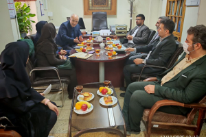 Determining the fate of stagnant archive files